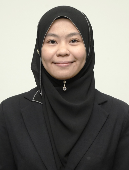 Siti Nazratul Ain binti Sulaiman