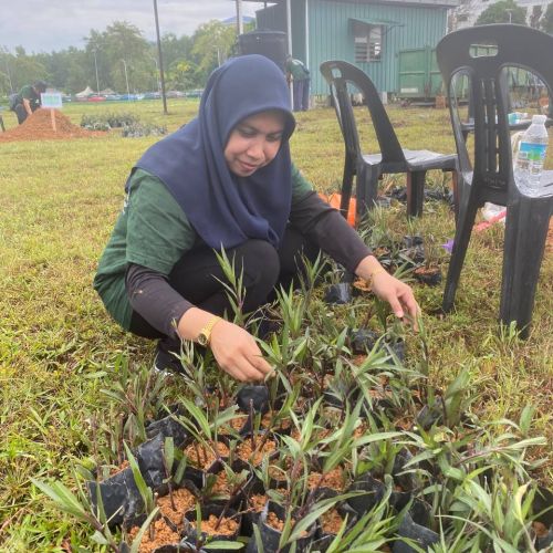 Program Semaian 13,000 batang Pokok Ruellia Simplex sempena sambutan 'World Landscape Architecture Month' (WLAM) 2024